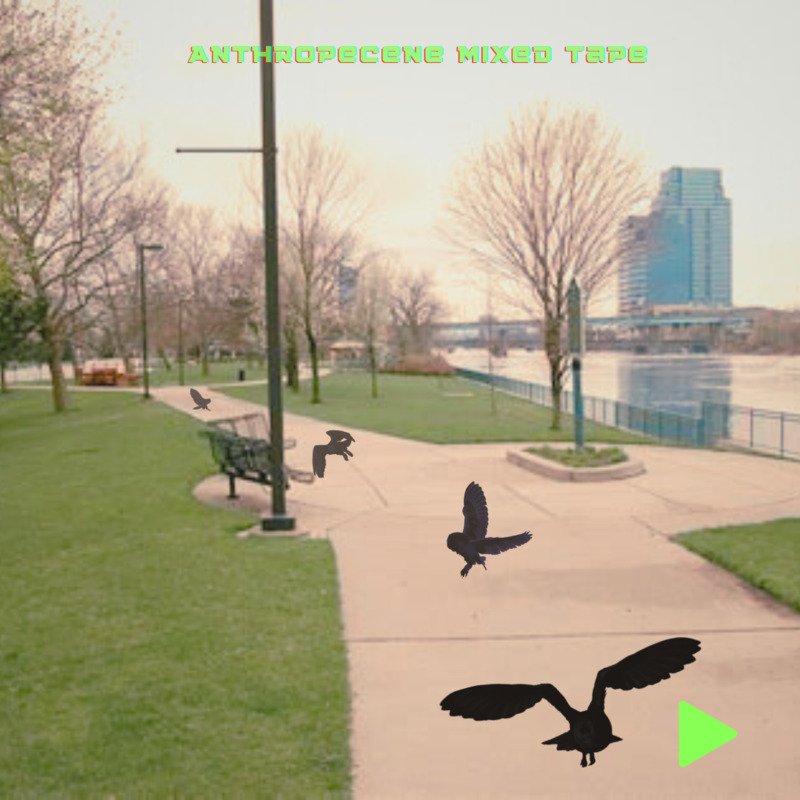 Anthropocene Mixtape: Owl Edition